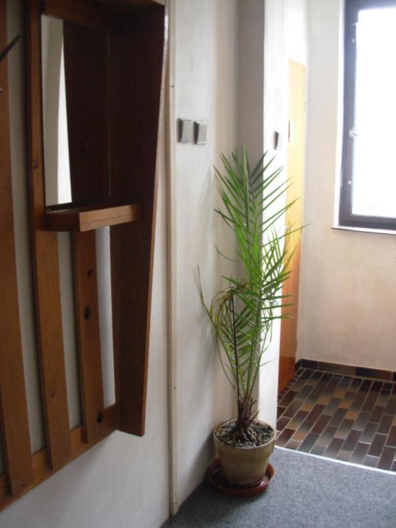 Penzion Hlinkova Plzen Phòng bức ảnh