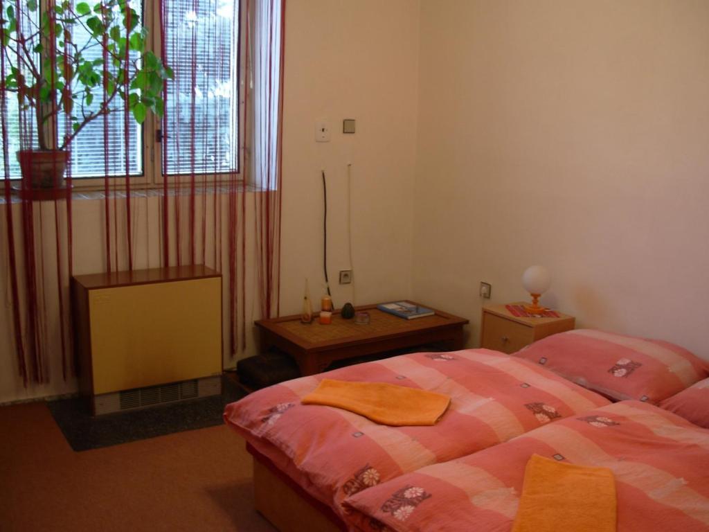 Penzion Hlinkova Plzen Phòng bức ảnh