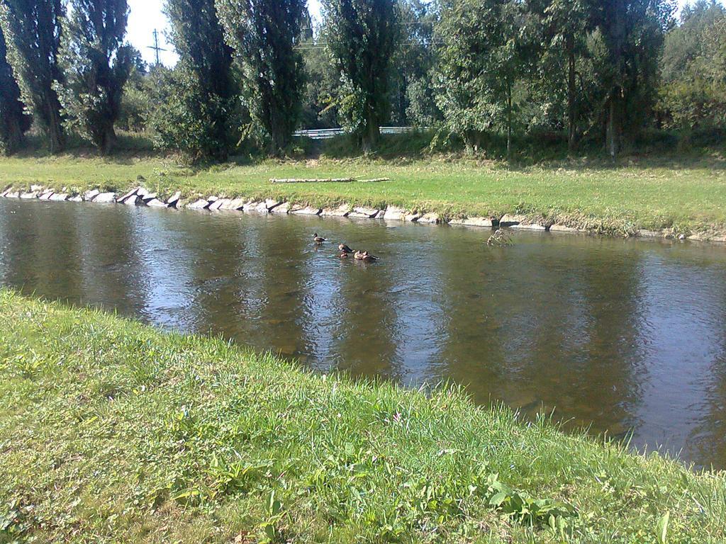 Penzion Hlinkova Plzen Ngoại thất bức ảnh